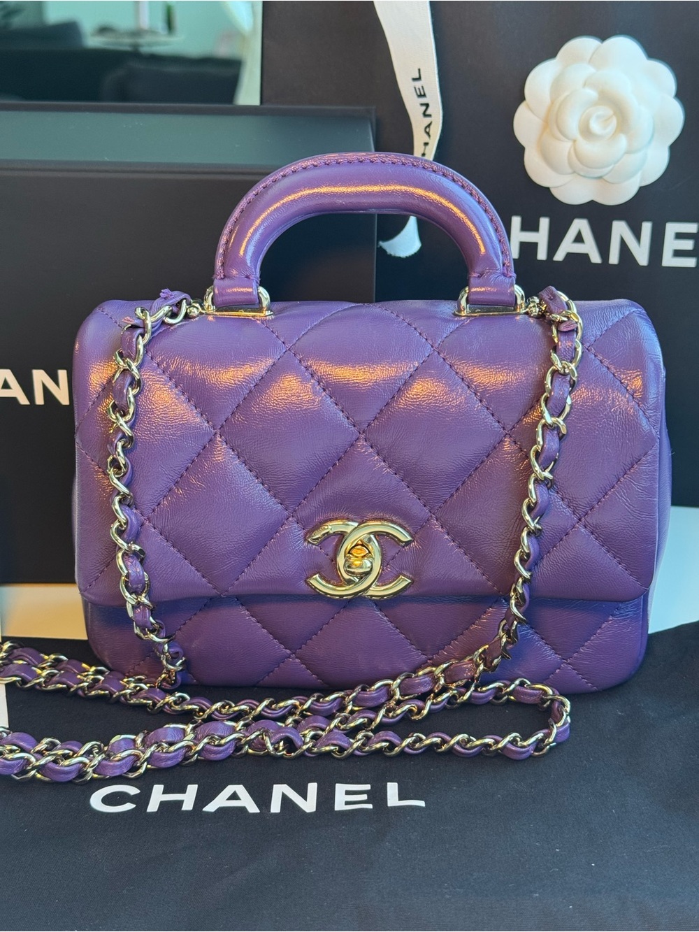 Chanel Classic Mini purple Bag 2025 Authentic
